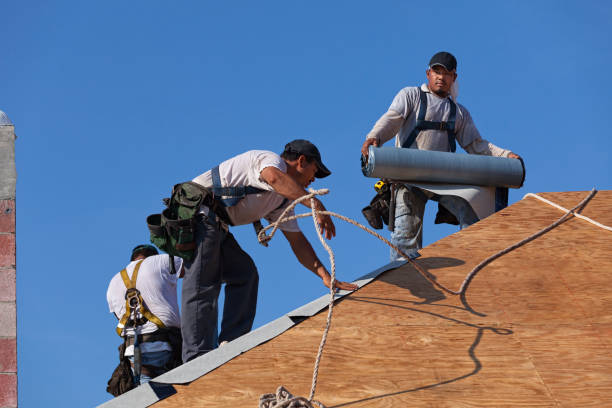 Best Roof Repair Services  in New Knoxville, OH